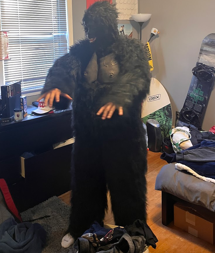 A person wearing a gorilla suit and looking at their hairy fake arms in amazement