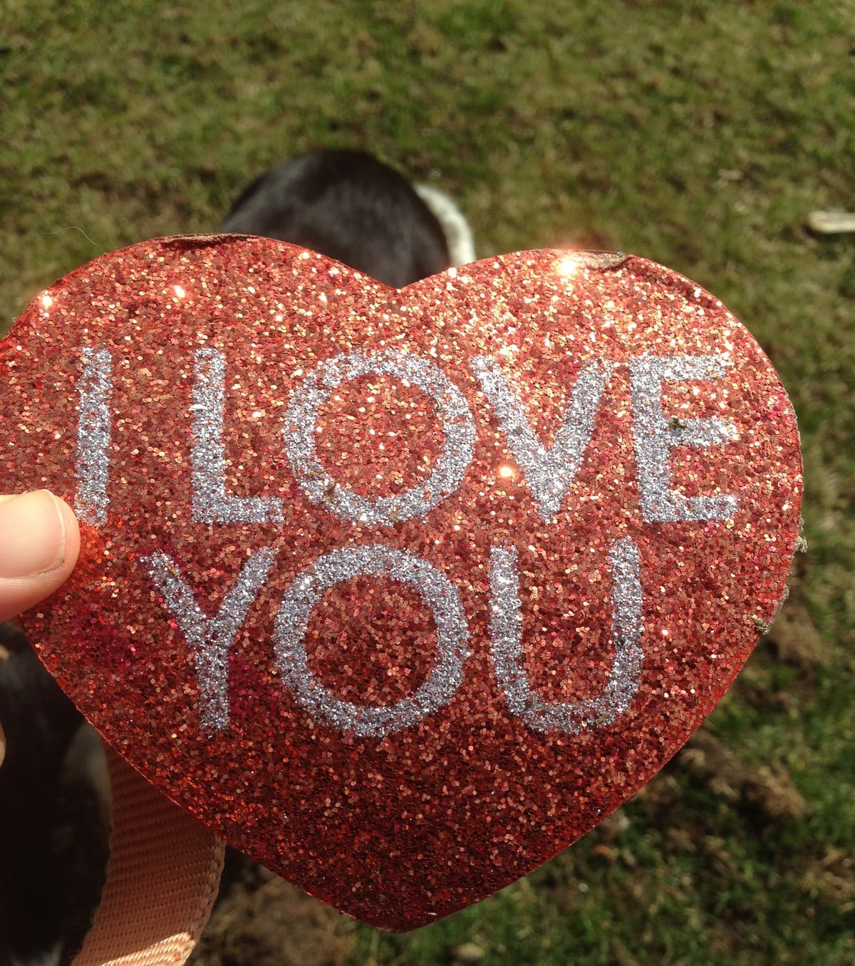 Going Viral, Fame, Essays, and Books