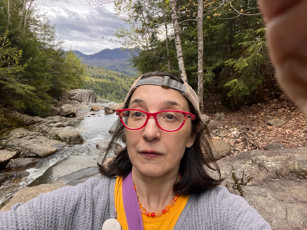 In the Woods, In the Weeds, In a Cabin